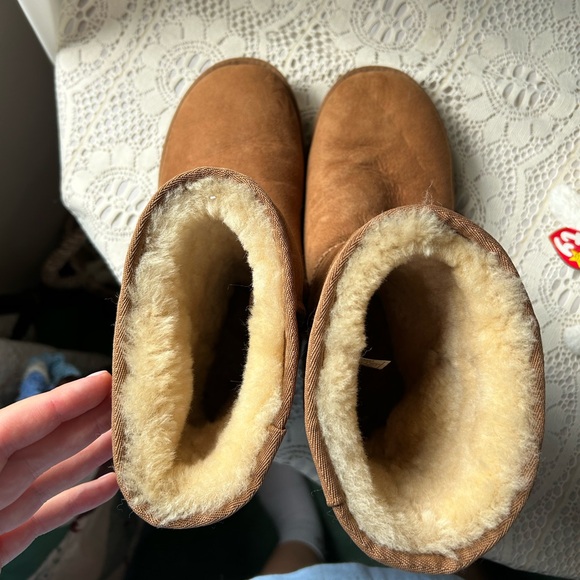 CLASSIC CHESTNUT UGGS! - Picture 5 of 9